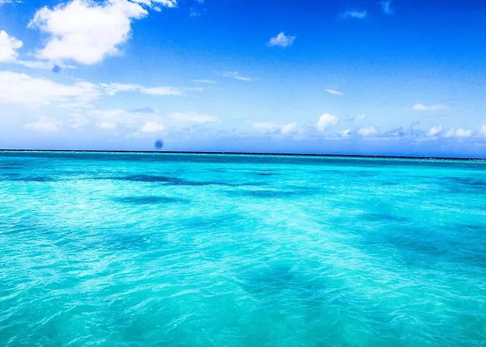 Seagarden Montego Bay